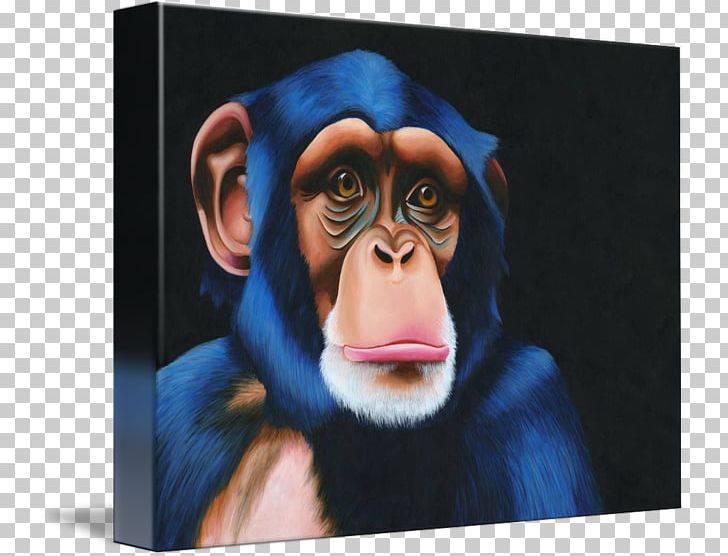 Common Chimpanzee Gorilla Gallery Wrap Monkey Portrait PNG, Clipart, Animals, Art, Canvas, Chimpanzee, Common Chimpanzee Free PNG Download