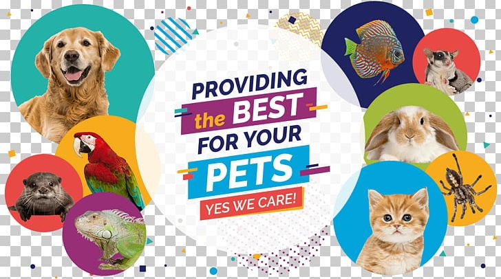 Dog Breed Cat Indo Pet Expo 2018 Puppy PNG, Clipart, Carnivoran, Cat, Cat Food, Dog, Dog Breed Free PNG Download