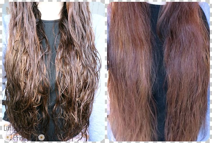 Long Hair Brown Hair Hair Coloring Black Hair PNG, Clipart, Black, Black Hair, Brand, Brown, Brown Hair Free PNG Download