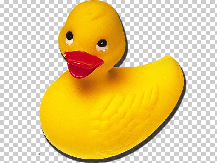 Rubber Duck Raster Graphics PNG, Clipart, Animals, Beak, Bird, Bitmap, Duck Free PNG Download