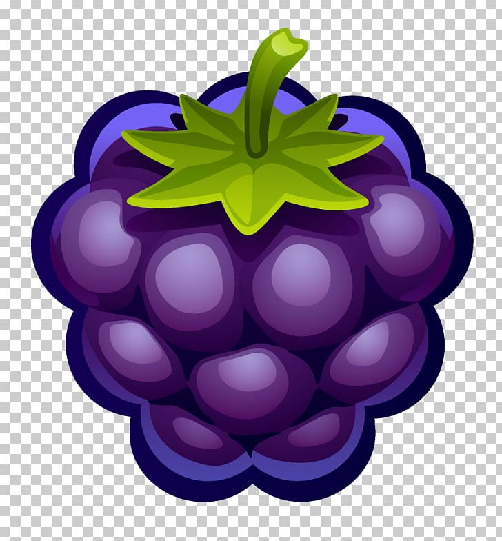 Blueberry PNG, Clipart, Blackberry, Blueberry, Computer Icons, Document, Download Free PNG Download