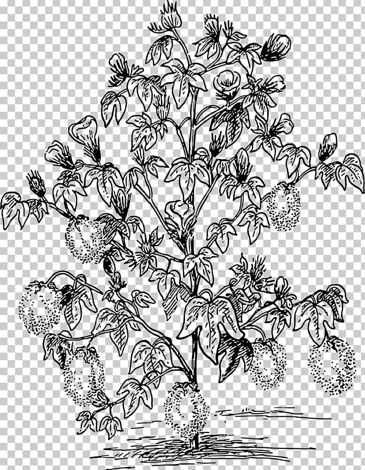 Cotton Drawing Plant PNG, Clipart, Artwork, Black And White, Branch, Clip Art, Computer Icons Free PNG Download