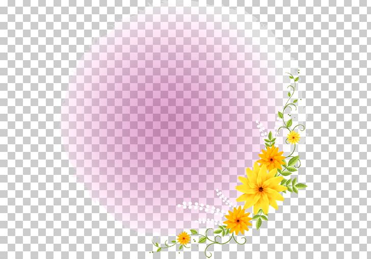 Desktop Rose PNG, Clipart, Blossom, Computer, Computer Wallpaper, Daisy, Daisy Family Free PNG Download