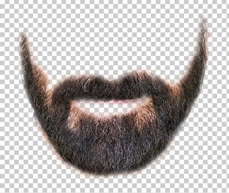 Goatee Beard Whiskers Hairstyle PNG, Clipart, Beard, Beard Styles, Cat, Cat Like Mammal, Desktop Wallpaper Free PNG Download