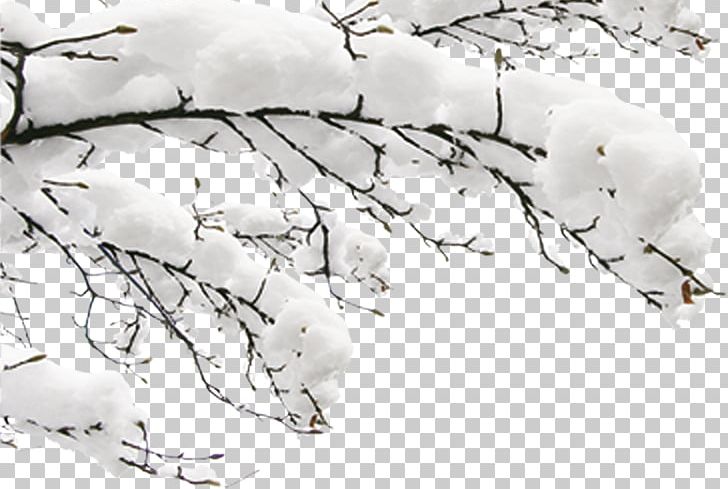 Snow Winter Fundal PNG, Clipart, Black And White, Branch, Branches, Cdr, Encapsulated Postscript Free PNG Download