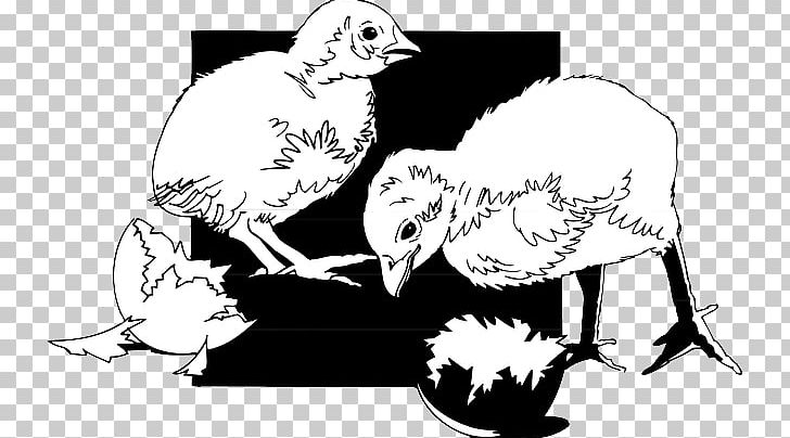 Chicken Black And White Bird Cygnini Infant PNG, Clipart, Art, Beak, Bird, Bird Egg, Bird Of Prey Free PNG Download