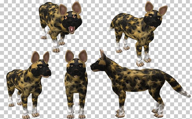 Dog Breed Wildlife PNG, Clipart, African Wild Dog, Animals, Breed, Carnivoran, Dog Free PNG Download