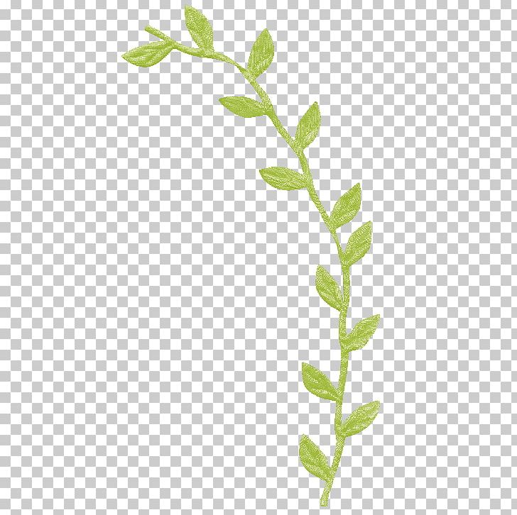 Flower Picasa Web Albums Photography Cenefa PNG, Clipart, Branch, Cenefa, Flower, Leaf, Microsoft Paint Free PNG Download