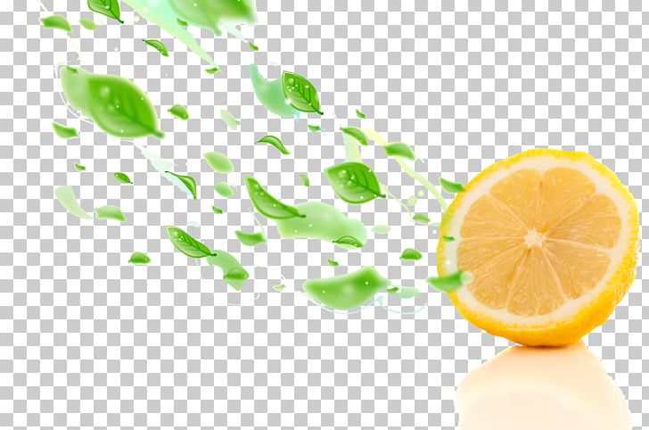 Fruit Lemon Auglis Orange Food PNG, Clipart, Attractive, Auglis, Citric Acid, Citrus, Colors Free PNG Download