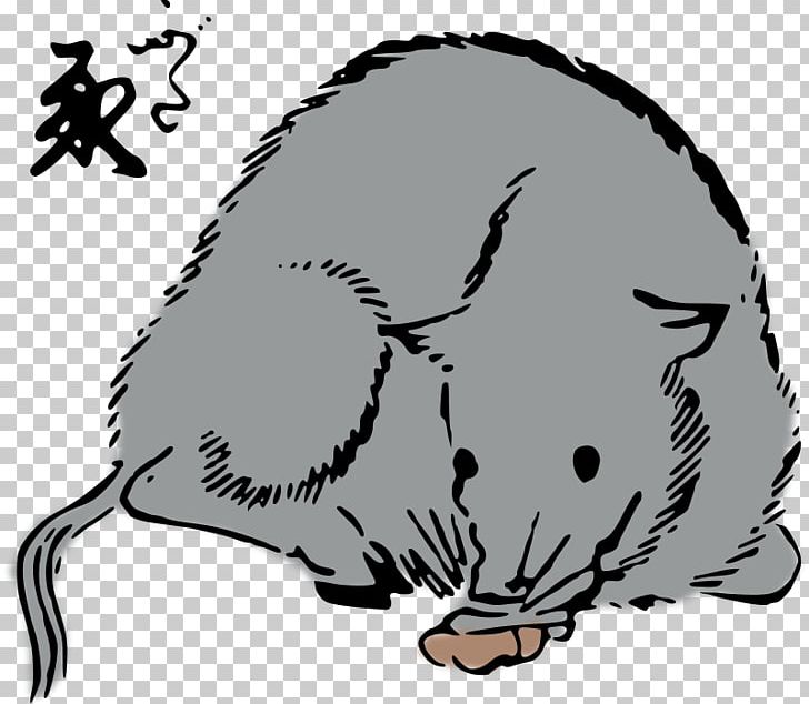 Rat Mouse Whiskers Cat PNG, Clipart, Animals, Artwork, Beak, Beaver, Black And White Free PNG Download