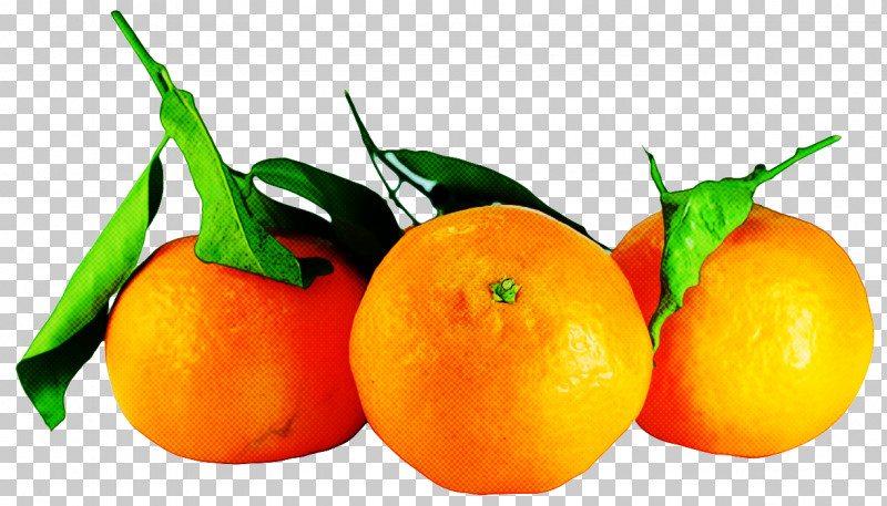 Orange PNG, Clipart, Accessory Fruit, Bitter Orange, Calamondin, Citric Acid, Citrus Free PNG Download