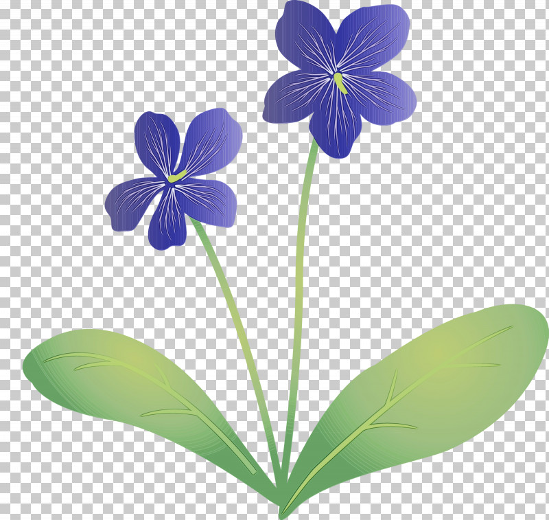 Flower Petal Flora Plants Science PNG, Clipart, Biology, Flora, Flower, Paint, Petal Free PNG Download