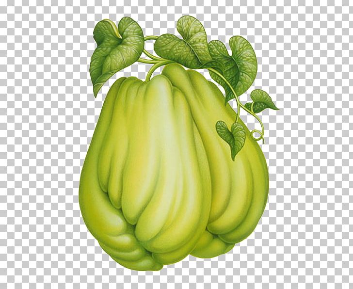 Chayote Fruit PNG, Clipart, Bitter Melon, Cartoon, Creative, Cucu, Cucumber Gourd And Melon Family Free PNG Download