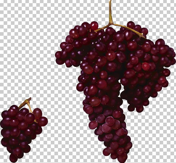 Red Wine Concord Grape Common Grape Vine PNG, Clipart, Boysenberry, Canon, Cleaneating, Colorful, Desktop Wallpaper Free PNG Download