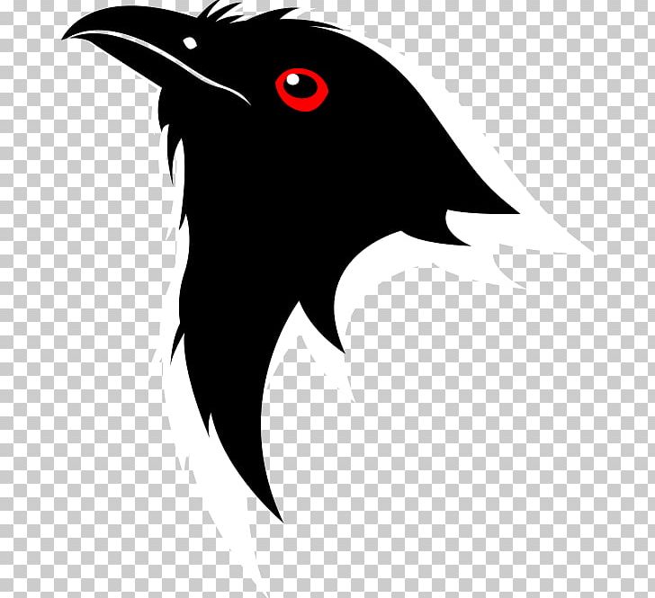 Asian Koel Bird Computer Software PHP-FPM Virtual Private Server PNG, Clipart, Animals, Asian Koel, Beak, Bird, Computer Servers Free PNG Download