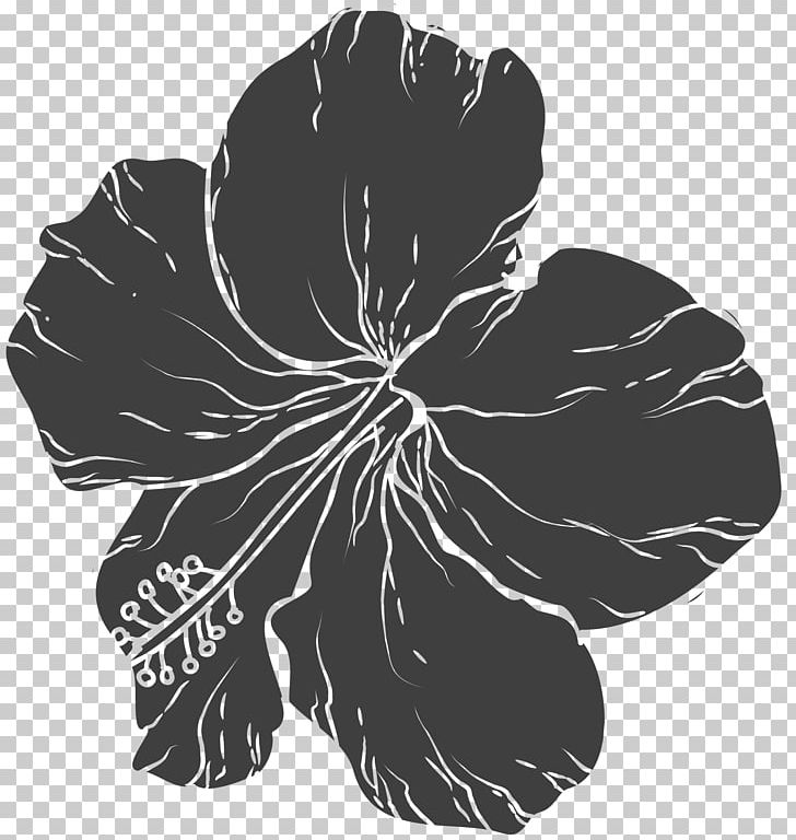 Black And White Flower PNG, Clipart, Designer, Flora, Floral, Floral Border, Floral Design Free PNG Download