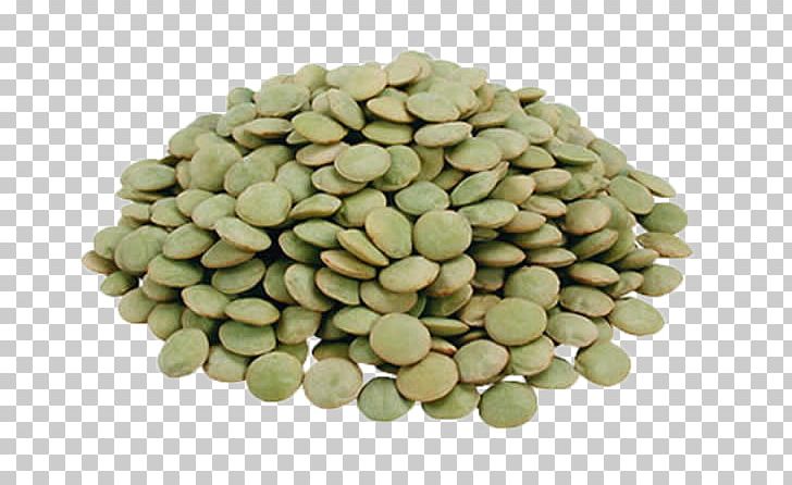 Nut Lentil Legume Seed Bean PNG, Clipart, Artikel, Bean, Chickpea, Commodity, Food Free PNG Download