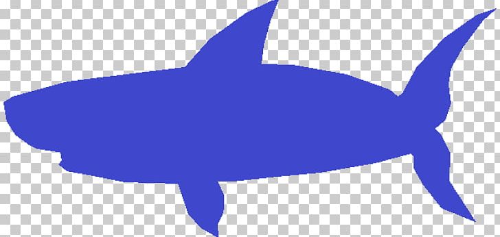 Shark Marine Biology Cobalt Blue Fauna PNG, Clipart, Animals, Biology, Blue, Cartilaginous Fish, Cobalt Free PNG Download