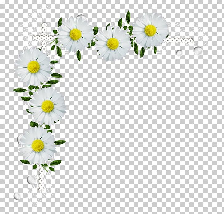 Desktop PNG, Clipart, Chamaemelum Nobile, Computer Wallpaper, Cut Flowers, Daisy, Daisy Family Free PNG Download