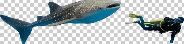Fish Marine Mammal Beak Microsoft Azure PNG, Clipart, Animal, Animal Figure, Beak, Diving Sloth, Fish Free PNG Download
