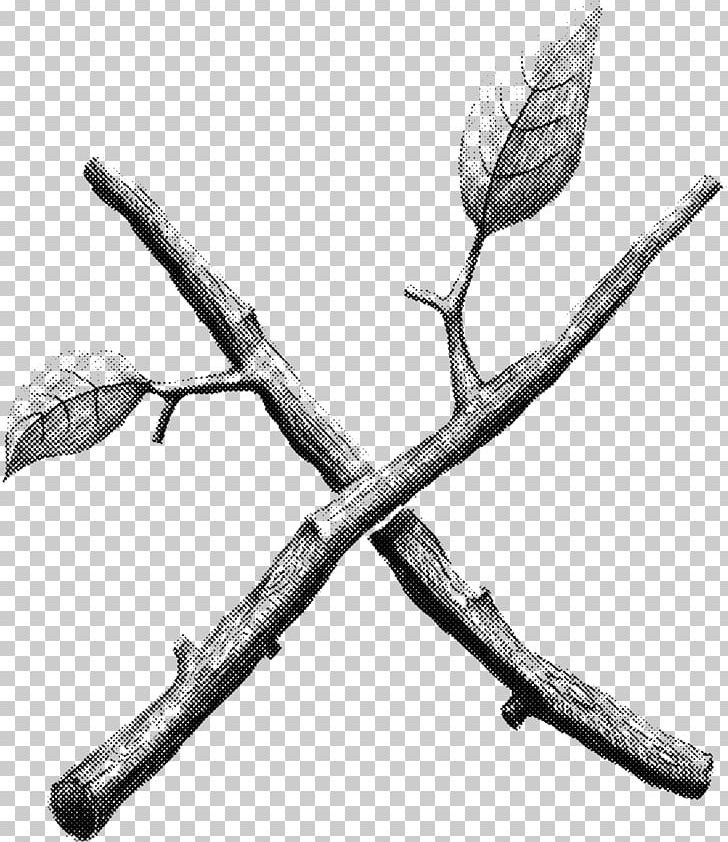Twig Drawing Plant Stem Leaf /m/02csf PNG, Clipart, Black And White, Branch, Cold Weapon, Drawing, Flowering Plant Free PNG Download