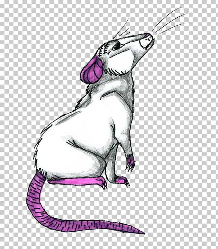 Whiskers Mouse Cat PNG, Clipart, Animals, Art, Artwork, Carnivoran, Cartoon Free PNG Download