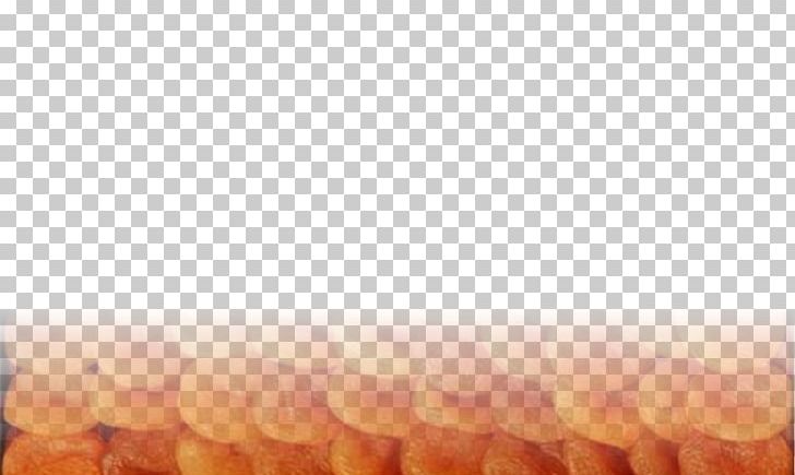 Close-up PNG, Clipart, Apricot, Closeup, Fruit Nut, Miscellaneous, Orange Free PNG Download
