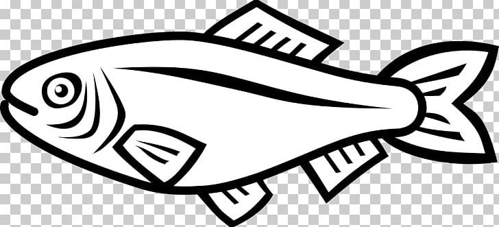 Common Carp Fish PNG, Clipart, Animals, Area, Art, Artwork, Black Free PNG Download