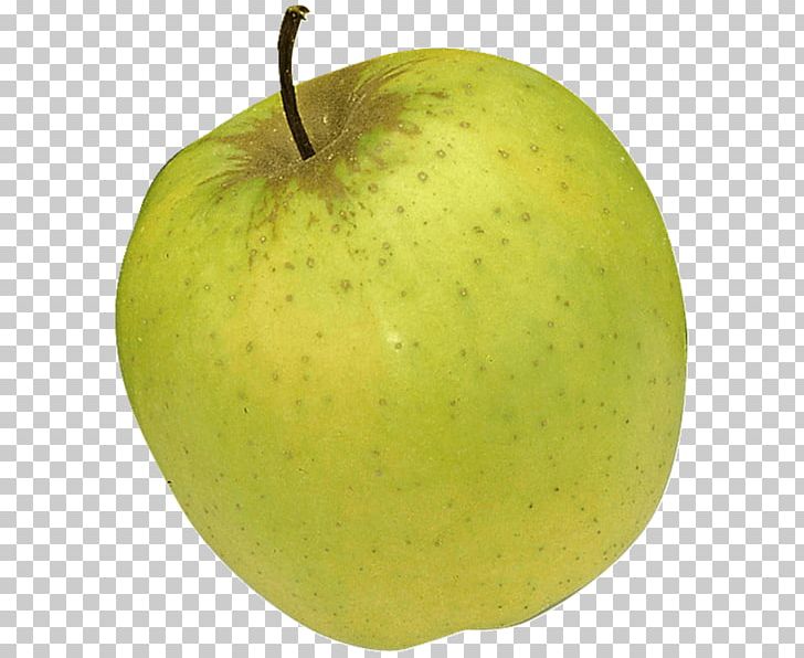 Granny Smith Cox's Orange Pippin Golden Delicious Apple Jonagold PNG, Clipart,  Free PNG Download