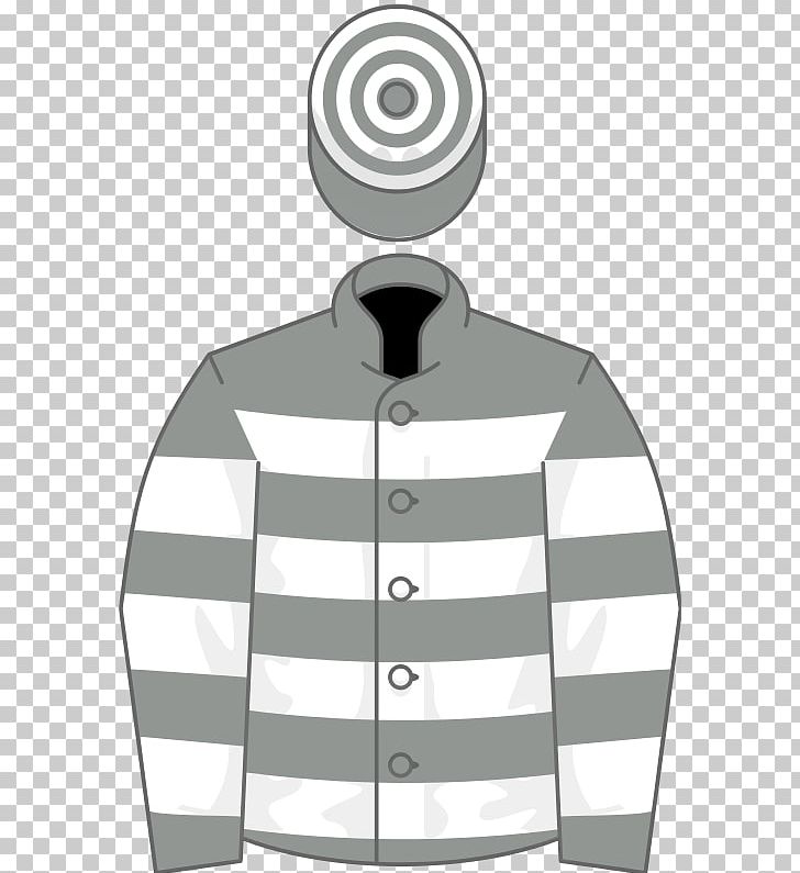 Horse Racing Wikipedia King's Stand Stakes The Grand National PNG, Clipart,  Free PNG Download