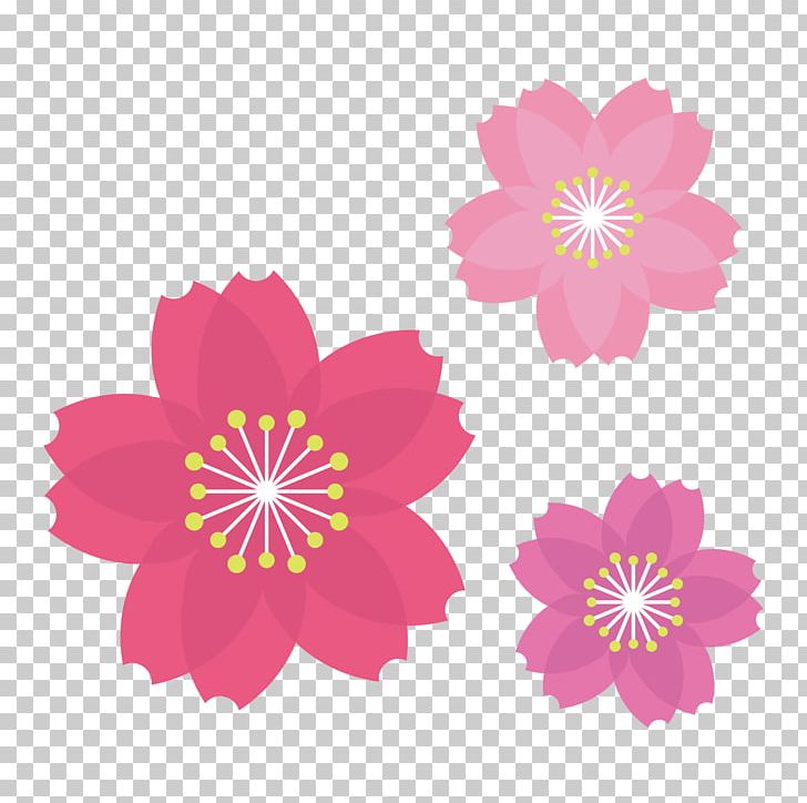 北陸地方整備局 高田河川国道事務所 乗務員室 Ministry Of Land PNG, Clipart, Annual Plant, Daisy Family, Floral Design, Flower, Flowering Plant Free PNG Download