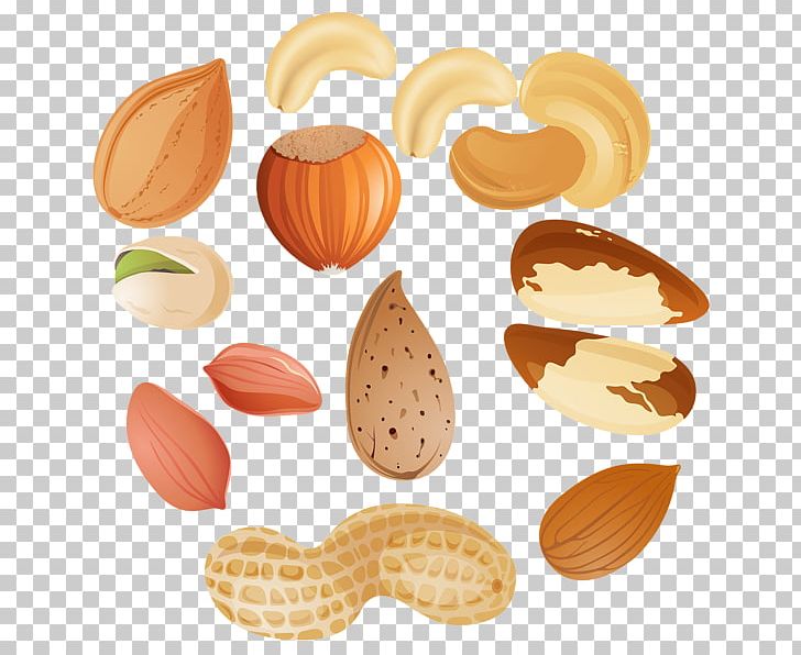 Mixed Nuts Tree Nut Allergy Peanut PNG, Clipart, Acorn, Almond, Cashew, Clip Art, Commodity Free PNG Download