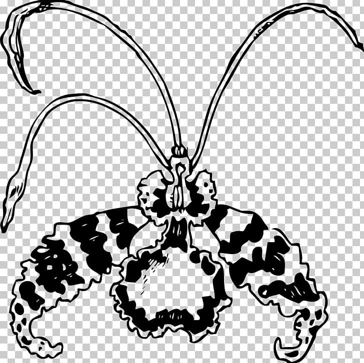 Moth Orchids Flower PNG, Clipart, Arthropod, Artwork, Black And White, Body Jewelry, Butterfly Free PNG Download