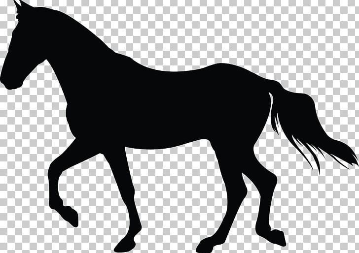 Mustang Foal Silhouette Pony Stallion PNG, Clipart, Black, Black And White, Bridle, Colt, English Riding Free PNG Download