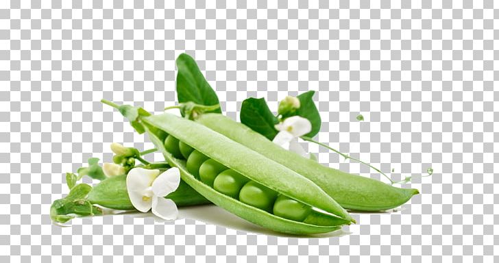 Snow Pea Vegetable Carrot Food PNG, Clipart, Bean, Beans, Butterfly Pea, Butterfly Pea Flower, Cartoon Peas Free PNG Download