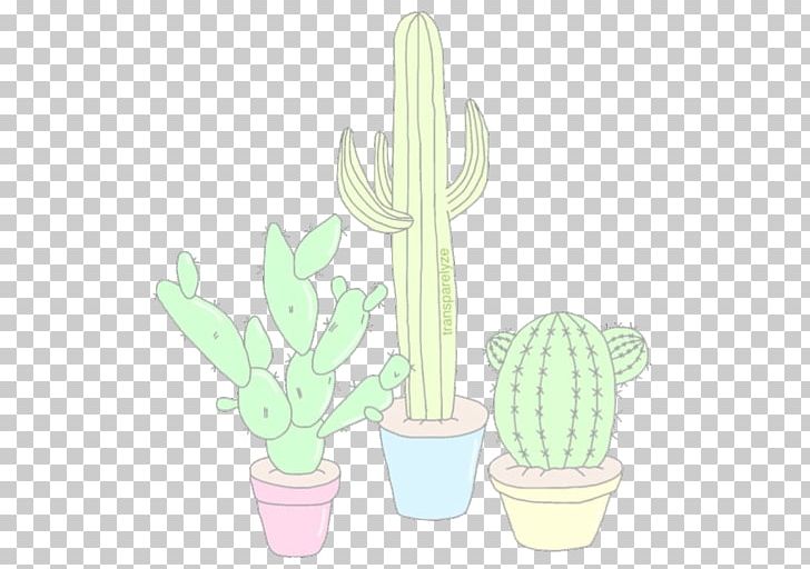 Cactaceae Paper Drawing Succulent Plant PNG, Clipart, Cactaceae, Cactus, Caryophyllales, Color, Desktop Wallpaper Free PNG Download