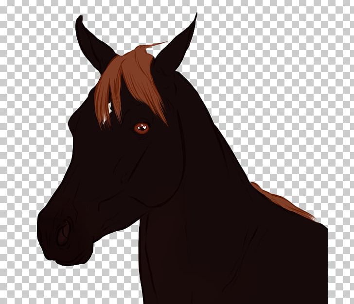 Mane Mustang Foal Stallion Colt PNG, Clipart, Bridle, Cartoon, Character, Colt, Fiction Free PNG Download