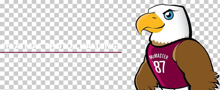 McMaster University Alumni Association Penguin PNG, Clipart, Alumni Association, Alumnus, Animals, Bird, Cartoon Free PNG Download