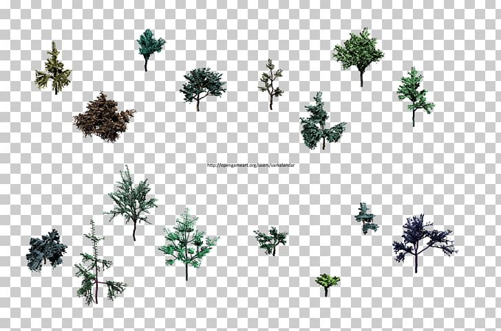 Pine Evergreen Leaf Flowering Plant Font PNG, Clipart, Branch, Branching, Conifer, Evergreen, Family Free PNG Download