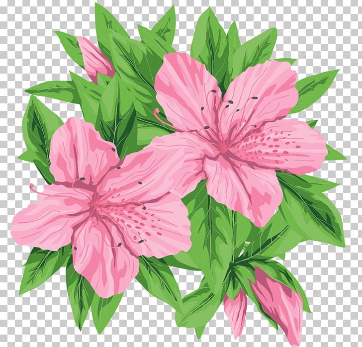 Pink Flowers Pink Flowers Green PNG, Clipart, Annual Plant, Azalea, Clip Art, Clipart, Computer Icons Free PNG Download