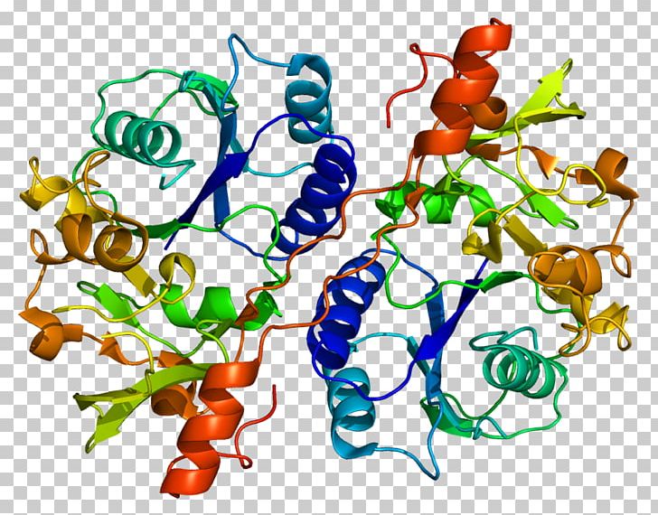 Glucuronosyltransferase B3GAT3 Protein Gene Enzyme PNG, Clipart, Artwork, Branch, Enzyme, Food, Gene Free PNG Download
