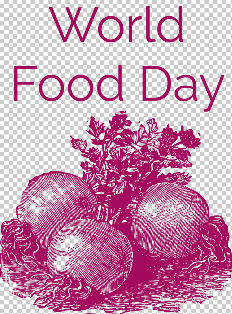 World Food Day PNG, Clipart, Broccoli, Cabbage, Cauliflower, Cucumber, Drawing Free PNG Download