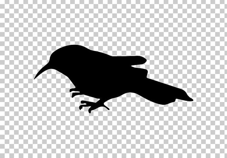 Bird House Sparrow Drawing Silhouette PNG, Clipart, Animals, Beak, Bird, Bird Shape, Black Free PNG Download