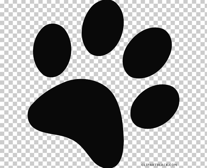 Cat Bear Dog Paw Tiger PNG, Clipart, Animal, Animals, Art, Bear, Black Free PNG Download
