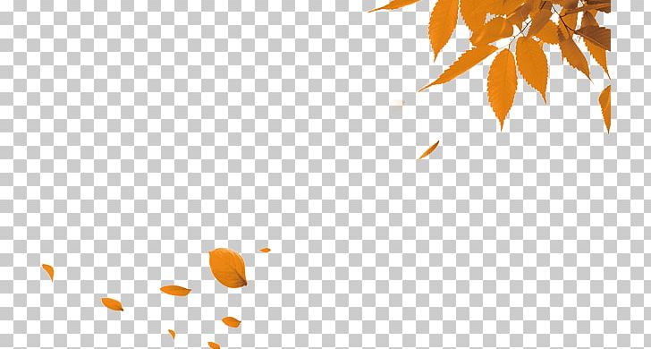 Double Ninth Festival Autumn CorelDRAW PNG, Clipart, Autumn, Branch, Cdr, Computer Wallpaper, Coreldraw Free PNG Download
