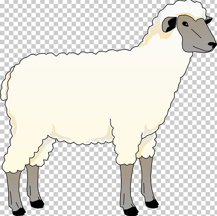 Sheep Drawing Free Content Goat PNG, Clipart, Animal, Animal Figure, Animals, Blog, Cartoon Free PNG Download