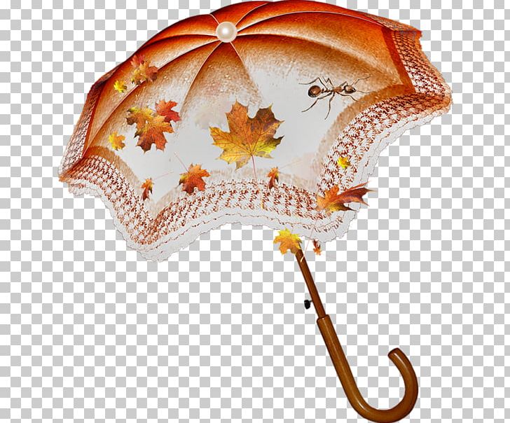 Umbrella Autumn PNG, Clipart, Autumn, Collage, Computer, Diary, Fashion Accessory Free PNG Download