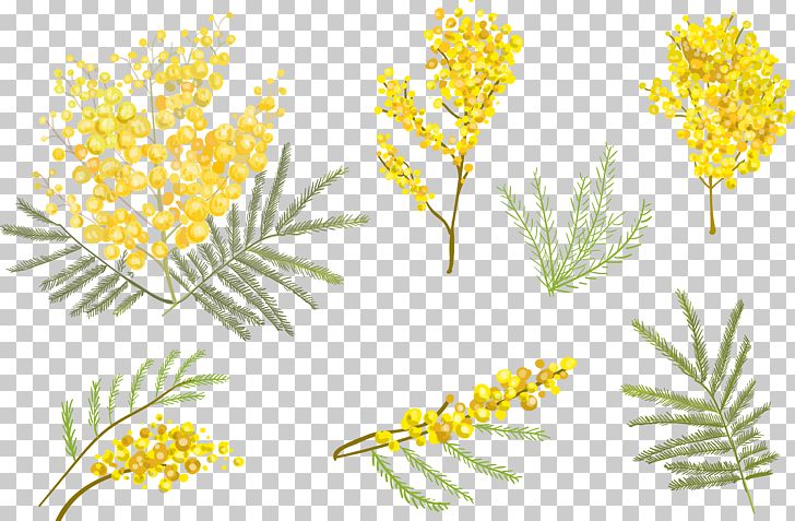 Flower Euclidean PNG, Clipart, Branch, Commodity, Flower, Flower Bouquet, Flower Pattern Free PNG Download