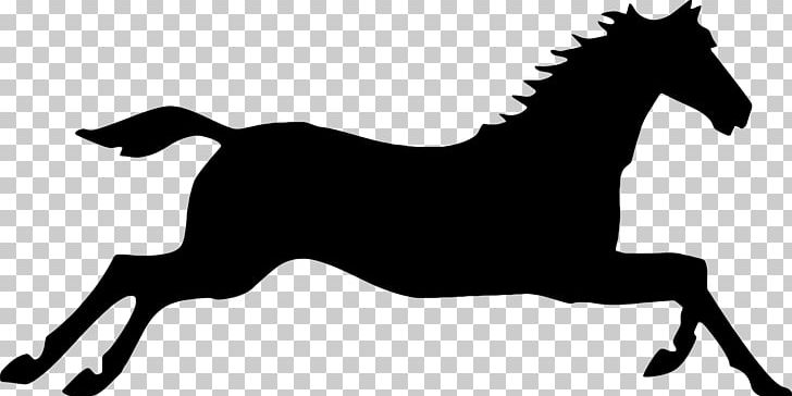 Mustang Canter And Gallop Arabian Horse PNG, Clipart, Black, Black And White, Bridle, Canter And Gallop, Colt Free PNG Download