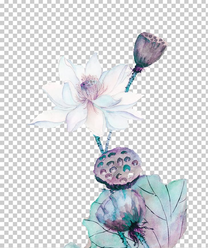 Nelumbo Nucifera Painting PNG, Clipart, Chinese Painting, Creative Work, Cut Flowers, Decorative Pattern, Fictional Character Free PNG Download